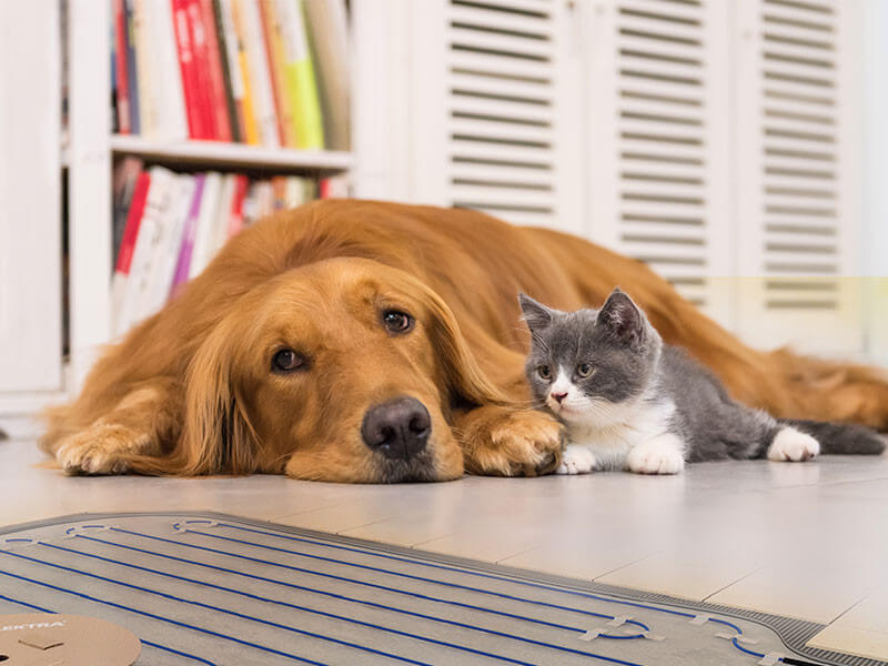 fűtő szőnyeg nordart